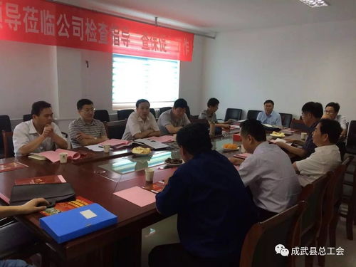 省總領導來成武縣視察查保安全促發展工作
