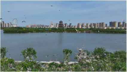 走近美麗河湖 | 菏澤:文亭湖