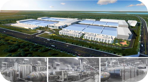 濟寧市2023年下半年綠色低碳高質量發展現場觀摩會 無窮食品泗水生產基地建設項目
