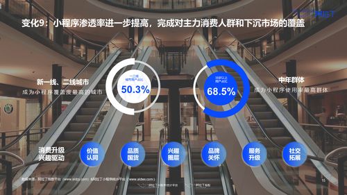 阿拉丁研究院 2020年上半年小程序互聯網發展白皮書