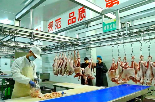 寧夏這只身價(jià)百億的羊,到底是如何煉成的