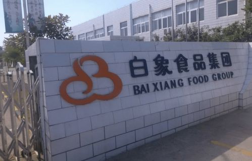 揭秘白象食品的創業史 姚忠良曾向康師傅學習,遺憾錯失發展良機