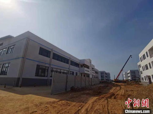 海南文昌馮家灣 蝦苗谷 轉型助推水產養殖綠色發展