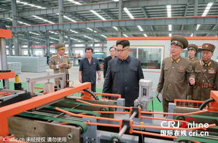 金正恩視察朝鮮建材工廠 組圖