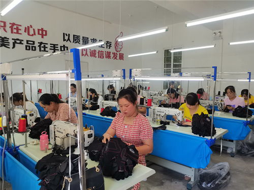 鳳縣人民政府網站 部門動態 系列之就業篇陜西鳳縣暖心社區工廠小車間 解決婦女就業大問題