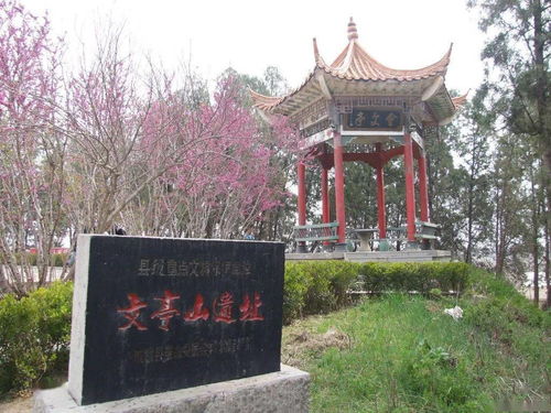 菏澤的小伙伴,你被這些水城 啦 快看看