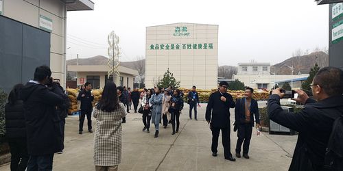 看陜西 游陜西 說陜西 國際視野聚焦魅力陜西