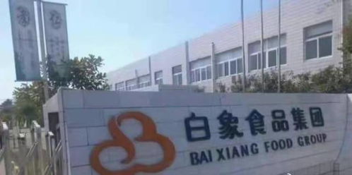 白象必成為下一個鴻星爾克,那些被網友救活的民族企業
