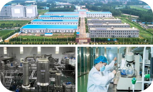 濟寧市2023年下半年綠色低碳高質量發展現場觀摩會 山東天威健康肉類食品生產項目