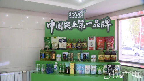 筑夢 十四五 互聯(lián)網(wǎng) 助力龍江農(nóng)產(chǎn)品走上網(wǎng)銷時代