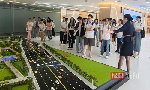 打造青年發展型城區,大學生到機關企事業單位實習實踐